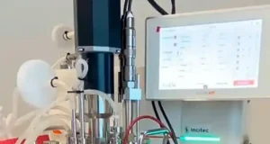 La fermentación con hongos permite transformar algas en una micoproteína altamente digestible y sustentable