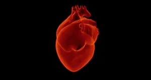La Rehabilitación Cardíaca mejora la calidad de vida de los pacientes con cardiopatías