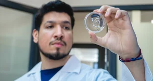 Crean un hidrogel a base de veneno de avista capaz de curar lesiones de pie diabético en 16 días y con una sola aplicación