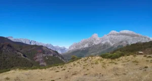 Cómo afectan los incendios forestales a la biodiversidad y la estabilidad de los ecosistemas en la Red de Parques Nacionales