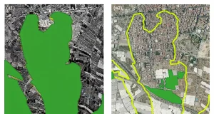 La presión urbana y agrícola reduce un 30% del arto en el último medio siglo, un arbusto esencial para los ecosistemas costeros del sureste ibérico