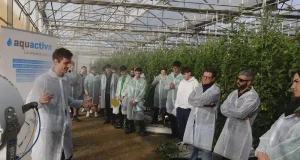 La Estación Experimental Cajamar organiza una jornada demostrativa del potencial de las tecnologías digitales en horticultura