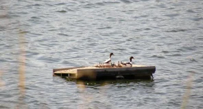 Instalan islas flotantes artificiales para renaturalizar las lagunas de la antigua depuradora de Bullas en Murcia