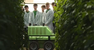 Cajamar Innova Agrotech lanza tres nuevos Retos Tecnológicos para impulsar la innovación en el sector agroalimentario