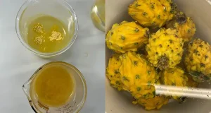 Cáscara de pitahaya, de residuo a fuente de fibra en polvo para suplementos alimenticios