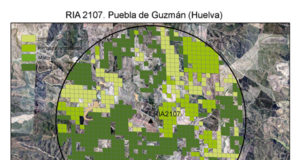 Las zonas más áridas del sureste español reverdecen entre 2001 y 2012 mientras se aridifica la costa atlántica