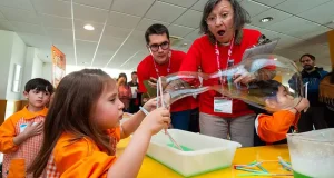 Proyectos sobre el microbioma de las plantas, bioconstrucción y la física ganan la XII Edición de «Con las manos en la ciencia» de la UBU