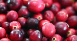 Los arándanos como alternativa a los antibióticos