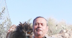 Rescatan a un búho real que había caído a una balsa de riego de Almería