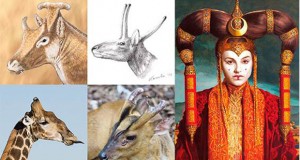 Jirafas con tres cuernos y parecidas a la reina Amidala