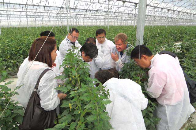 Investigadores de todo el mundo se interesan por la agricultura almeriense. 