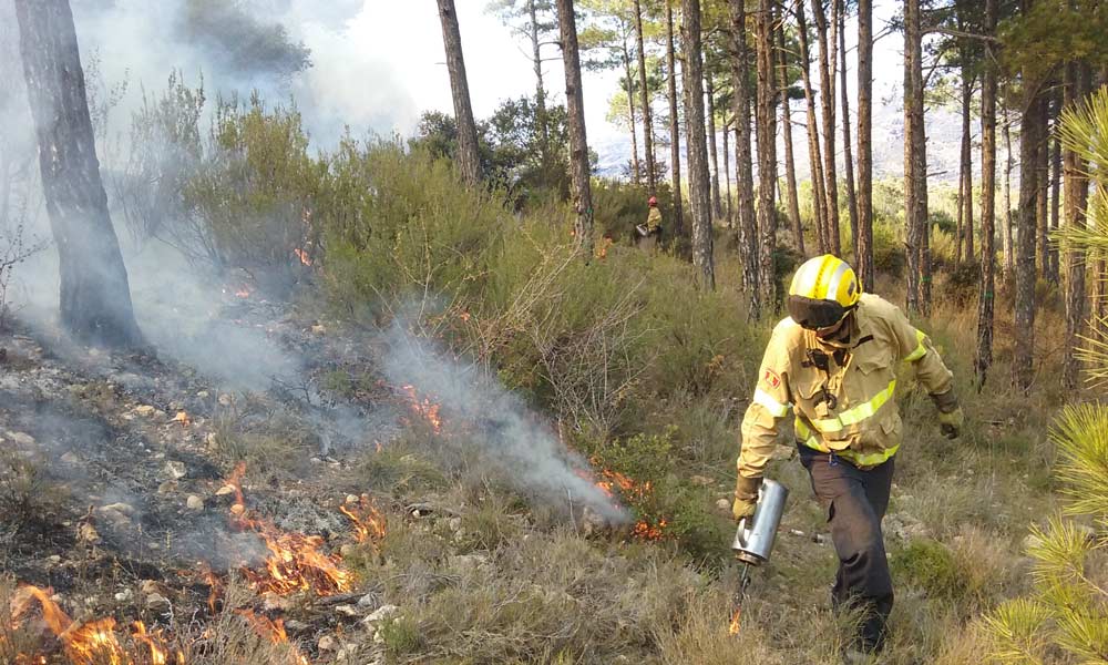 Un operario enciende el bosque en una quema prescrita. 