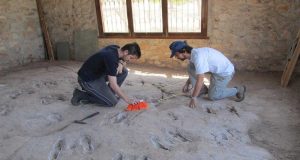 Encuentran huellas de dinosaurio marino en la provincia de Jaén