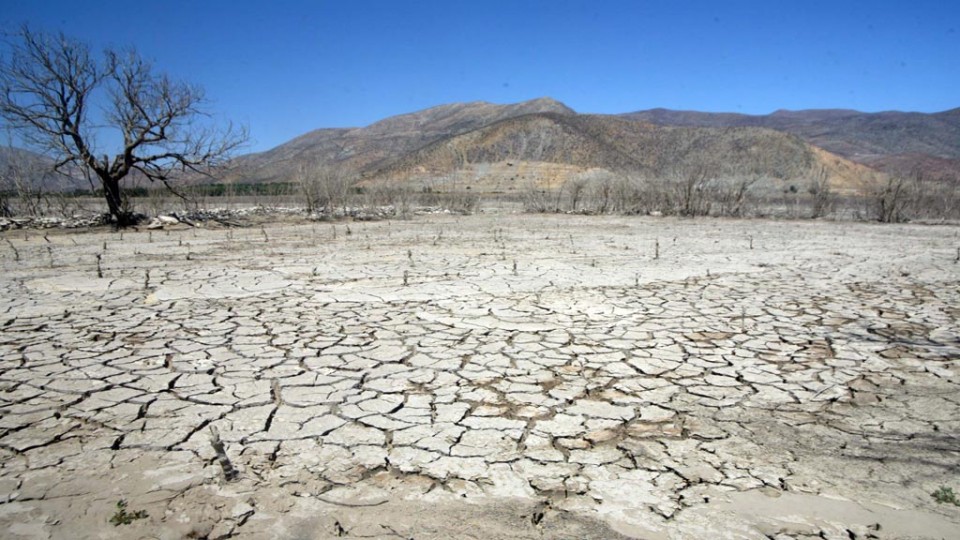 El 17 de junio se celebra el Día Mundial de la Lucha contra la Desertificación y la Sequía.