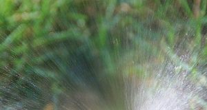 El agua y los sistemas históricos de regadío, protagonistas de la II edición de coloquios AlVelAl