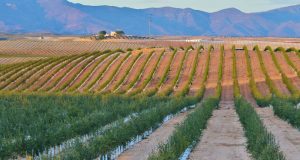 ¿Cuál es la situación de las reservas de agua del Sureste?