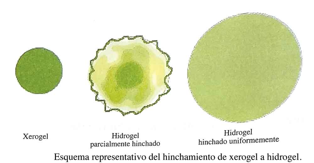 Modelo de hinchamiento de hidrogel para fertilización. 