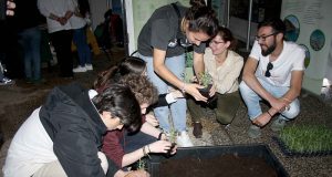 Abierto el plazo para el IV AmBioBlitz de la UAL los próximos 15 y 16 de abril