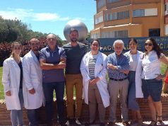 Una investigación veterinaria de la UMA con células madre podría servir para tratar la artrosis en humanos