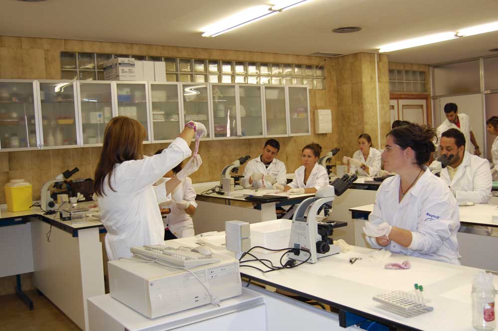 Prácticas  de laboratorio en el Grado en Ciencia y Tecnología de los Alimentos