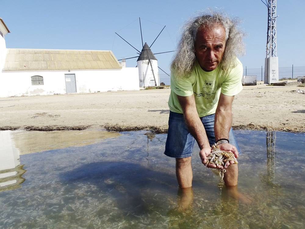 Pedro García de ANSE muestra peces muertos en el Mar Menor