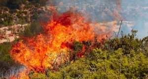 Cambio global: más incendios, más virulentos y con unas consecuencias nefastas para los ecosistemas