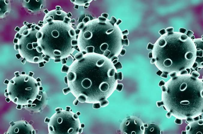 Imagen del corona virus, causante de la epidemia. 