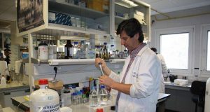 Investigadores de la UJA desarrollan un proyecto sobre cómo afecta la COVID-19 al sistema cardiovascular