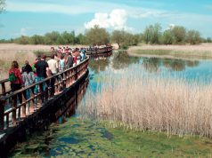 Máster en Sostenibilidad Ambiental UCLM | Desarrollo con vistas al futuro