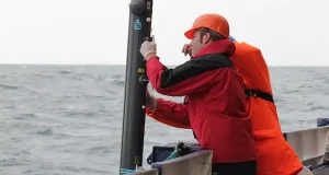 El reciclaje biológico del hierro es clave para la captura de carbono en el océano Austral