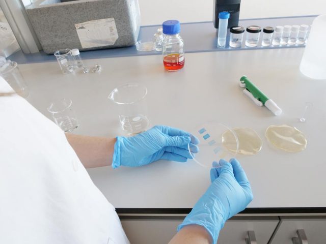 La start-up Oscillum del Parque Científico de la UMH, ganadora de los ...