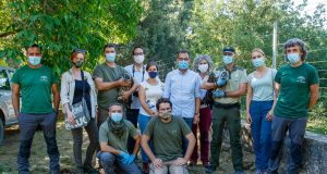 Finaliza la campaña de suelta de quebrantahuesos en Andalucía con ocho ejemplares liberados