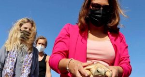 La consejera de Desarrollo Sostenible suelta dos tortugas boba recuperadas en el CEGMA del Estrecho