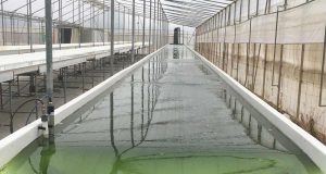 La UAL fomenta la transferencia entre sus investigadores