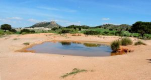 El 50% de la biodiversidad acuática se vería comprometida con la desaparición de las charcas naturales