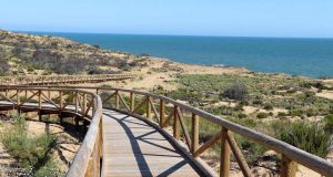 La senda de los gigantes fósiles de Doñana