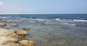 Investigadores de la UA evalúan cambio climático en áreas marinas protegidas del levante español