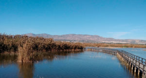 Una visita virtual por el Parque Natural de El Hondo