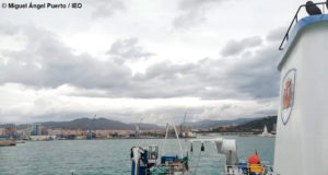 El IEO inicia una campaña para evaluar el estado de los recursos explotados por la flota de arrastre en el Mediterráneo