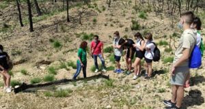 Alumnos de Ingeniería de Montes de la UCLM enseñan técnicas de reforestación a preuniversitarios
