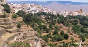 “Almería está llena de Patrimonio de la Humanidad y lo ha olvidado”