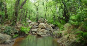 Serranía de Ronda, entorno único en Andalucía