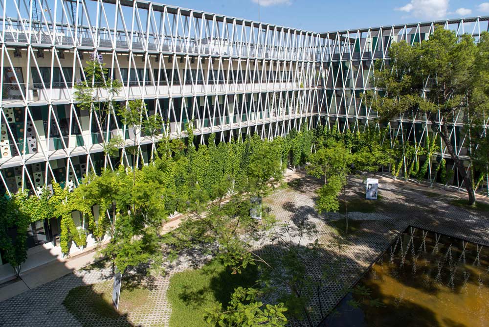Pfizer Se Instalar En El Parque Cient fico De Murcia