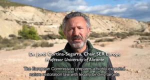 Investigadores apoyan una ambiciosa Ley de Restauración de la Naturaleza de la UE