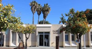 Nueva edición de los cursos cuatrimestrales del Centro de Lenguas de la UAL