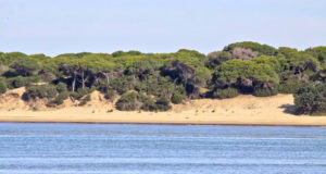 La UHU analizará el avance del cambio global a través de la biodiversidad del litoral atlántico