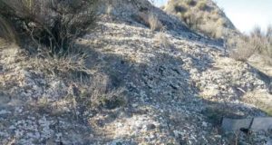 Biocostras, la piel de los suelos áridos