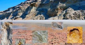 La UHU organiza una ruta en la que se podrá reconocer unas huellas de homínidos de hace 106.000 años