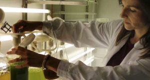 En centro RENSMA de la UHU muestra su ciencia a la ciudadanía