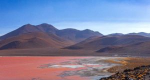 Descubren un organismo son propiedades antibacterianas y antioxidantes en los lagos de Argelia
